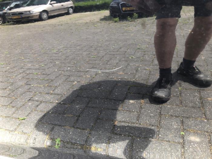 Volkswagen Golf VII 1.4 GTE 16V Sloopvoertuig (2015, Zwart)