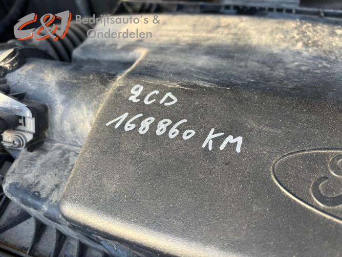 Ford Transit 2.0 TDCi 16V Eco Blue 130 Sloopvoertuig (2020, Roze, Wit)