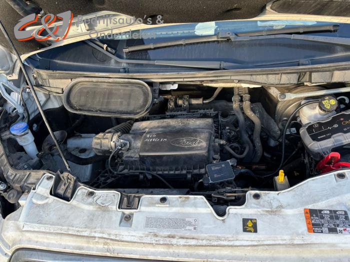 Ford Transit 2.0 TDCi 16V Eco Blue 130 Sloopvoertuig (2020, Roze, Wit)