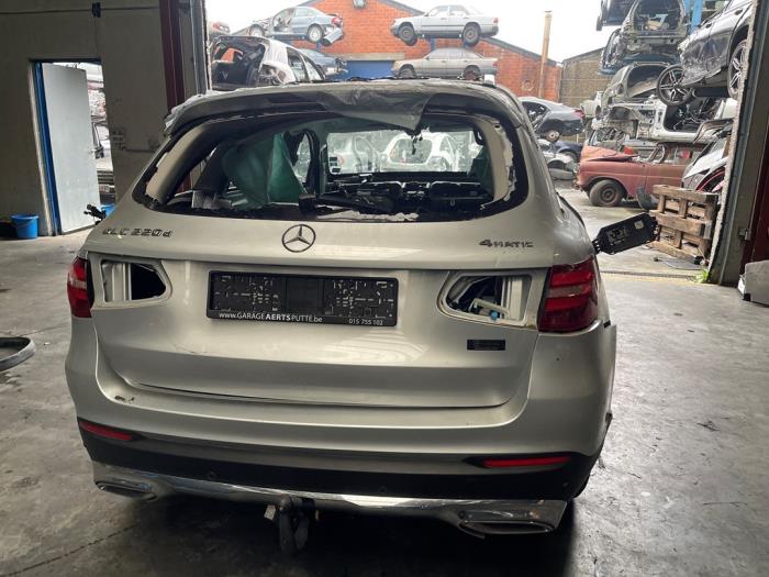 Mercedes GLC-Klasse V251