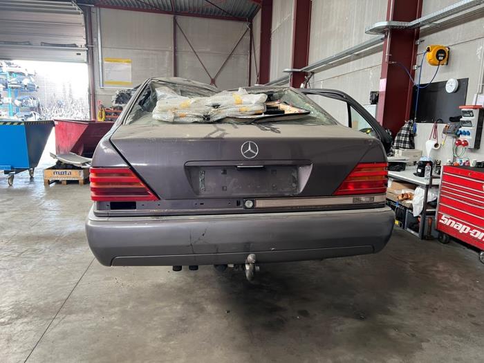 Mercedes S-Klasse V1043