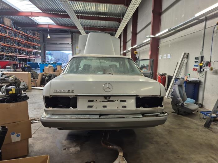 Mercedes 260SE-600SEL V1239