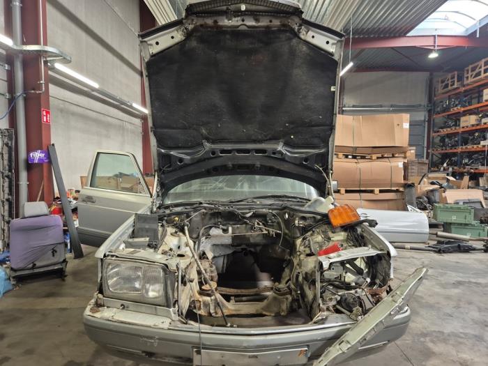 Mercedes 260SE-600SEL V1239