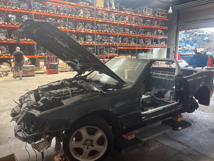 Mercedes 280SL-500SLC V1355