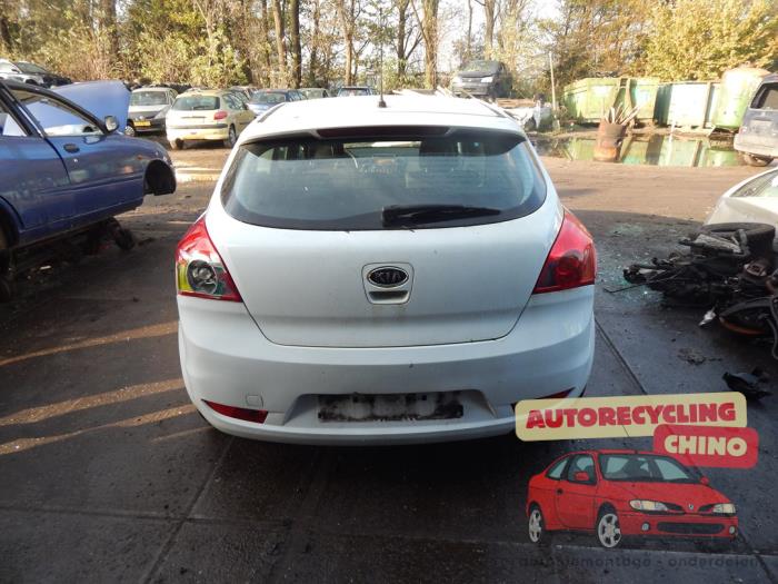 Kia Cee'd Sporty Wagon 1.4 16V Sloopvoertuig (2008, Wit)