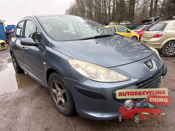 Peugeot 307 1.6 16V Sloopvoertuig (2006, Grijs)