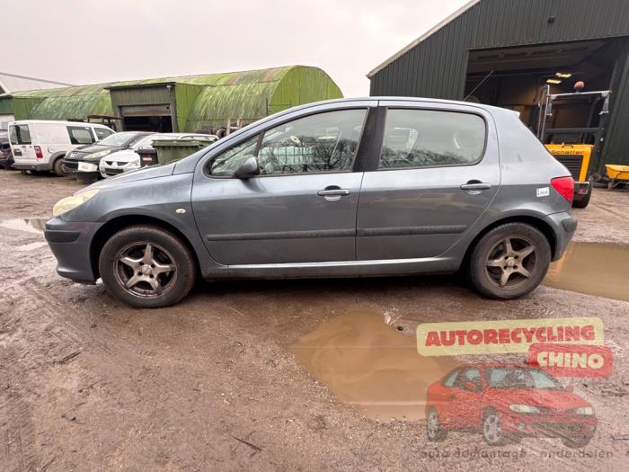 Peugeot 307 1.6 16V Sloopvoertuig (2006, Grijs)