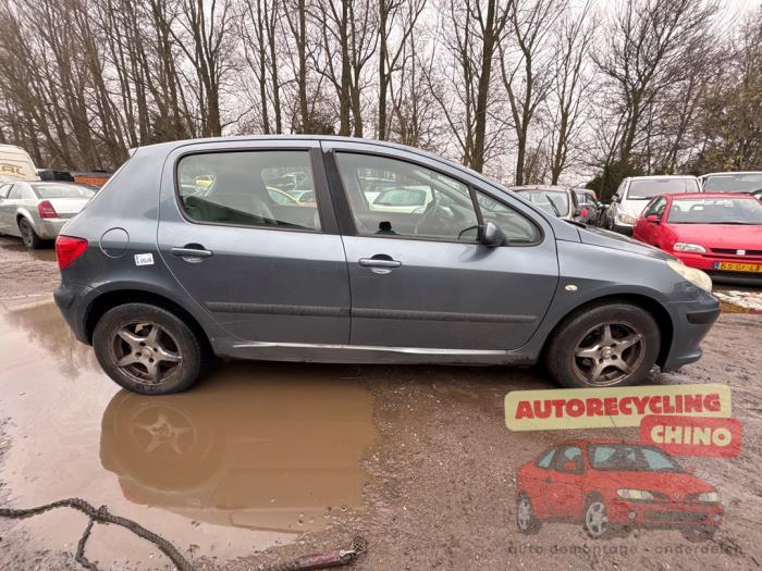 Peugeot 307 1.6 16V Sloopvoertuig (2006, Grijs)