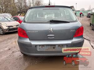 Peugeot 307 1.6 16V Sloopvoertuig (2006, Grijs)