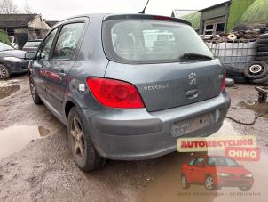 Peugeot 307 1.6 16V Sloopvoertuig (2006, Grijs)