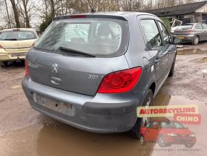 Peugeot 307 1.6 16V Sloopvoertuig (2006, Grijs)