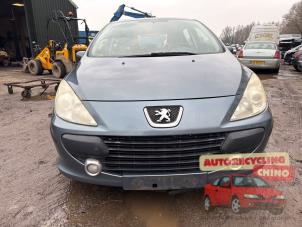 Peugeot 307 1.6 16V Sloopvoertuig (2006, Grijs)