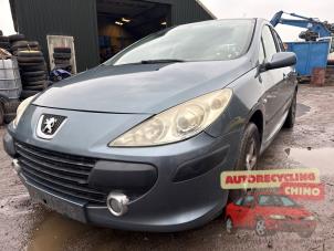 Peugeot 307 1.6 16V Sloopvoertuig (2006, Grijs)