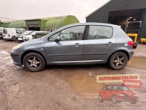 Peugeot 307 1.6 16V Sloopvoertuig (2006, Grijs)