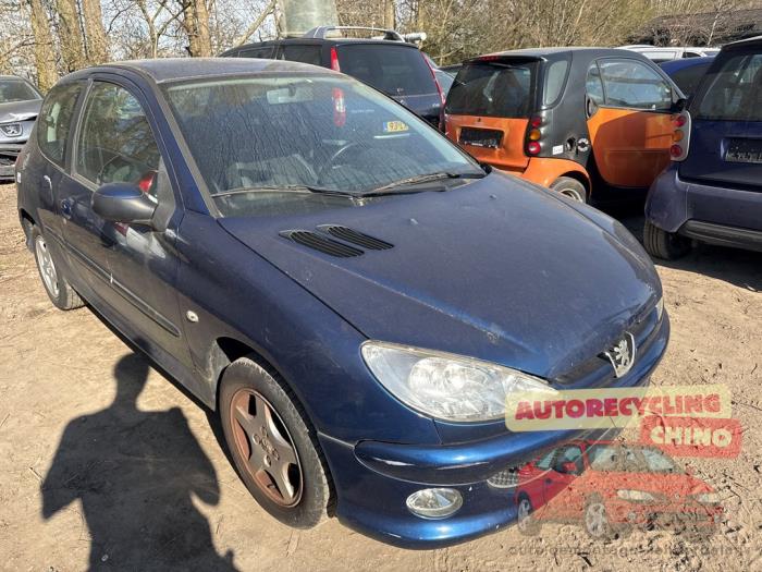 Peugeot 206 1.4 XR,XS,XT,Gentry Sloopvoertuig (2006, Blauw)
