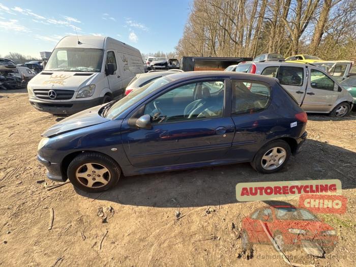 Peugeot 206 1.4 XR,XS,XT,Gentry Sloopvoertuig (2006, Blauw)