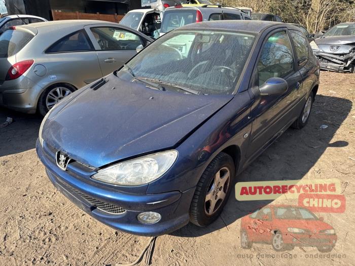 Peugeot 206 1.4 XR,XS,XT,Gentry Sloopvoertuig (2006, Blauw)