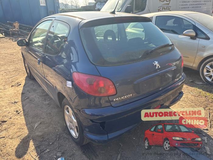 Peugeot 206 1.4 XR,XS,XT,Gentry Sloopvoertuig (2006, Blauw)