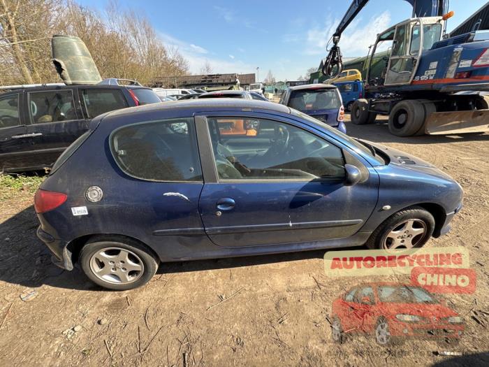 Peugeot 206 1.4 XR,XS,XT,Gentry Sloopvoertuig (2006, Blauw)