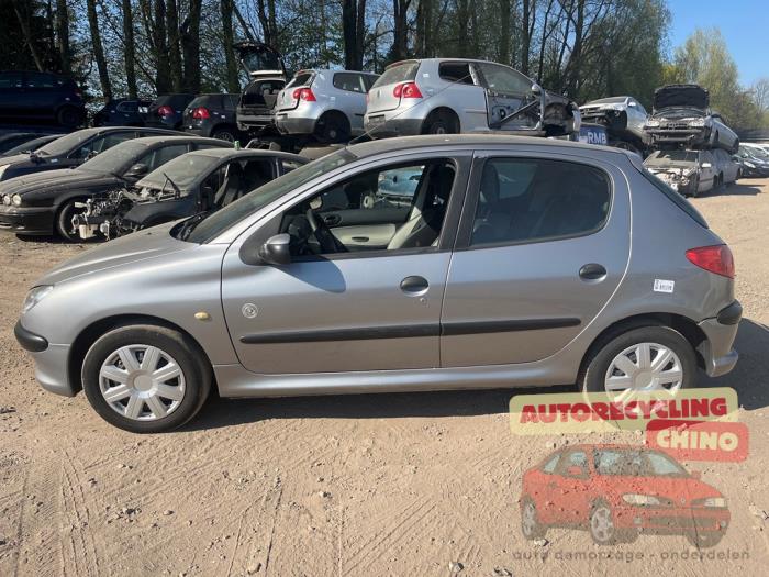 Peugeot 206 1.4 XR,XS,XT,Gentry Sloopvoertuig (2005, Grijs)