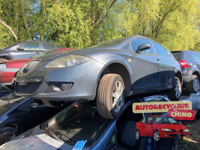 Seat Leon 2.0 FSI 16V Sloopvoertuig (2006, Grijs)