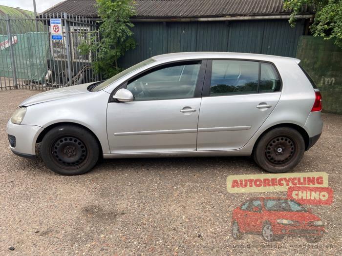 Volkswagen Golf V 1.4 FSI 16V Sloopvoertuig (2005, Grijs)