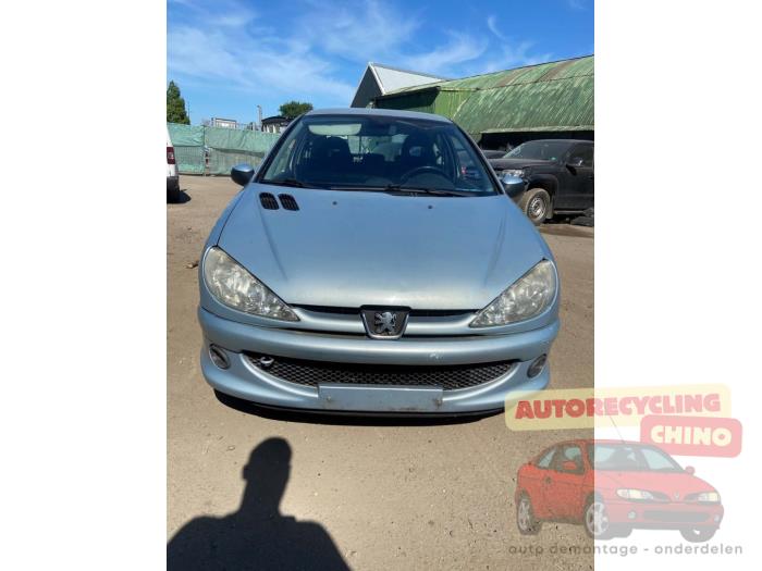 Peugeot 206 1.4 16V Sloopvoertuig (2005, Grijs)