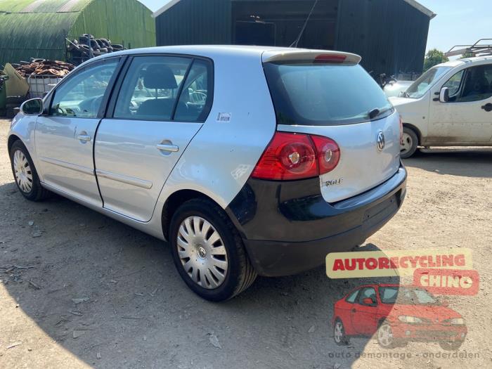 Volkswagen Golf V 1.6 FSI 16V Sloopvoertuig (2007, Grijs)
