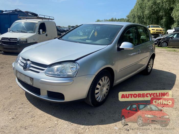 Volkswagen Golf V 1.6 FSI 16V Sloopvoertuig (2007, Grijs)
