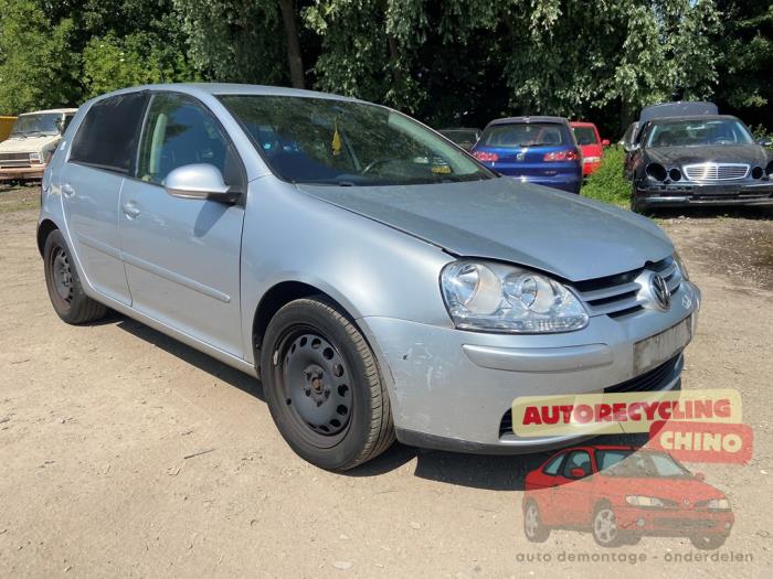 Volkswagen Golf V 1.6 FSI 16V Sloopvoertuig (2007, Grijs)