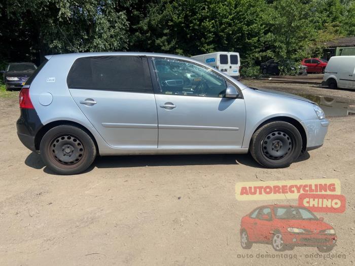 Volkswagen Golf V 1.6 FSI 16V Sloopvoertuig (2007, Grijs)