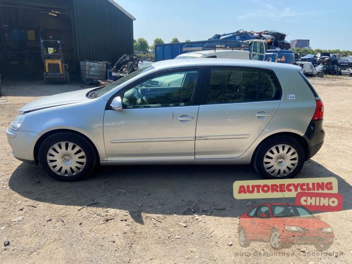 Volkswagen Golf V 1.6 FSI 16V Sloopvoertuig (2007, Grijs)