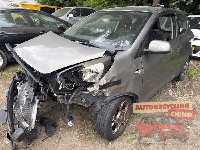 Kia Picanto 1.0 12V Sloopvoertuig (2013, Grijs)