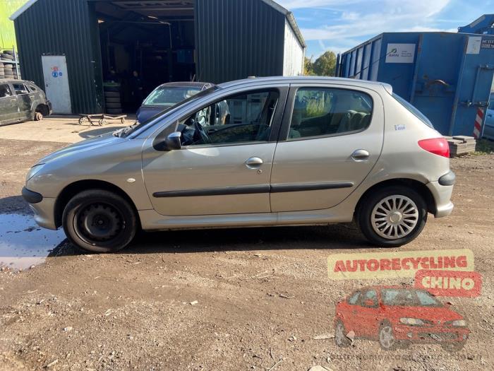 Peugeot 206 1.4 16V Sloopvoertuig (2004, Grijs)