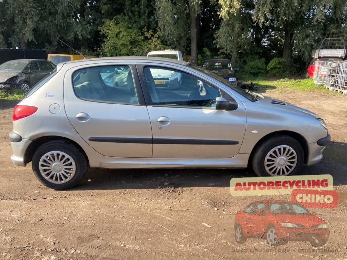 Peugeot 206 1.4 16V Sloopvoertuig (2004, Grijs)