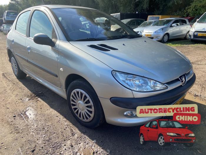 Peugeot 206 1.4 16V Sloopvoertuig (2004, Grijs)