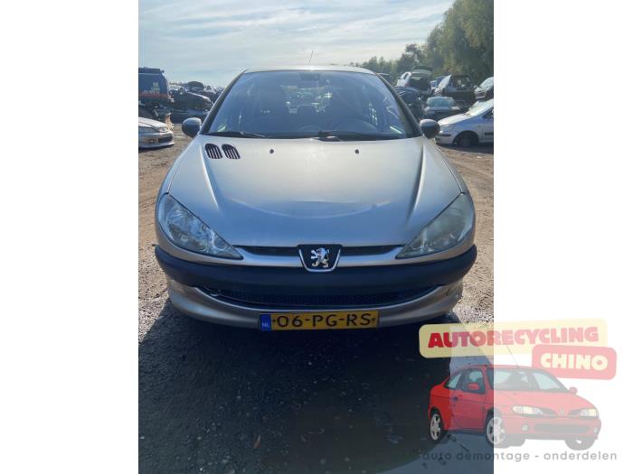 Peugeot 206 1.4 16V Sloopvoertuig (2004, Grijs)