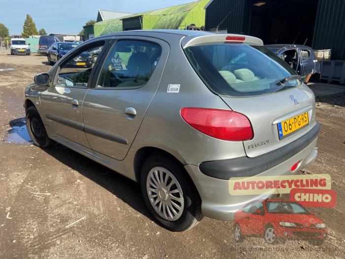 Peugeot 206 1.4 16V Sloopvoertuig (2004, Grijs)