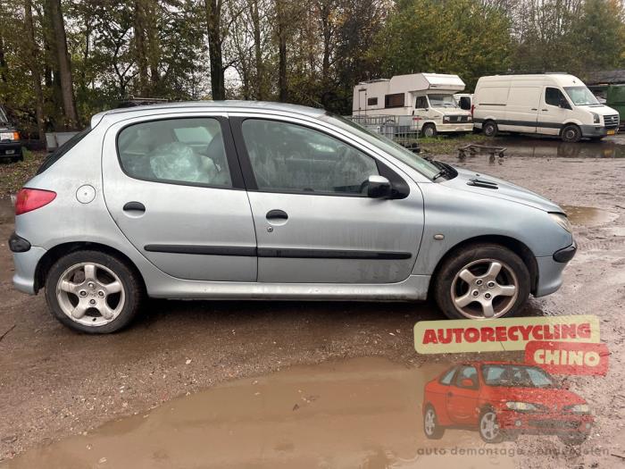 Peugeot 206 1.4 XR,XS,XT,Gentry Sloopvoertuig (2004, Grijs)