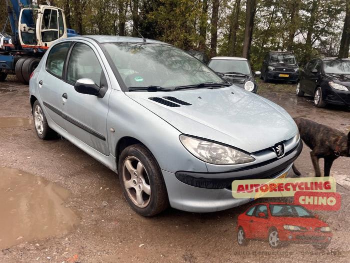 Peugeot 206 1.4 XR,XS,XT,Gentry Sloopvoertuig (2004, Grijs)