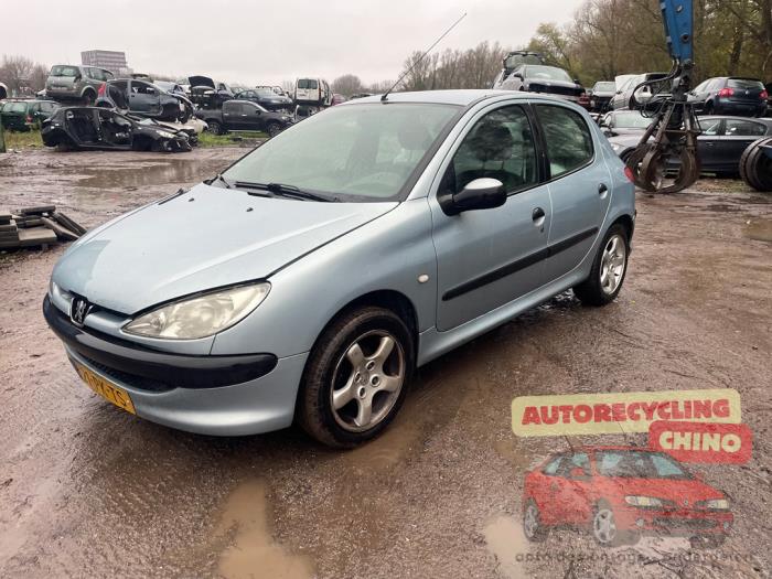 Peugeot 206 1.4 XR,XS,XT,Gentry Sloopvoertuig (2004, Grijs)