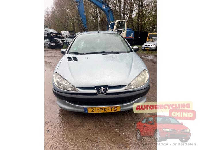 Peugeot 206 1.4 XR,XS,XT,Gentry Sloopvoertuig (2004, Grijs)