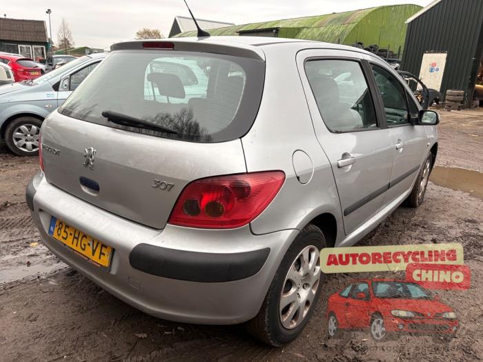 Peugeot 307 1.6 16V Sloopvoertuig (2001, Grijs)