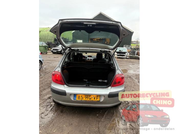 Peugeot 307 1.6 16V Sloopvoertuig (2001, Grijs)