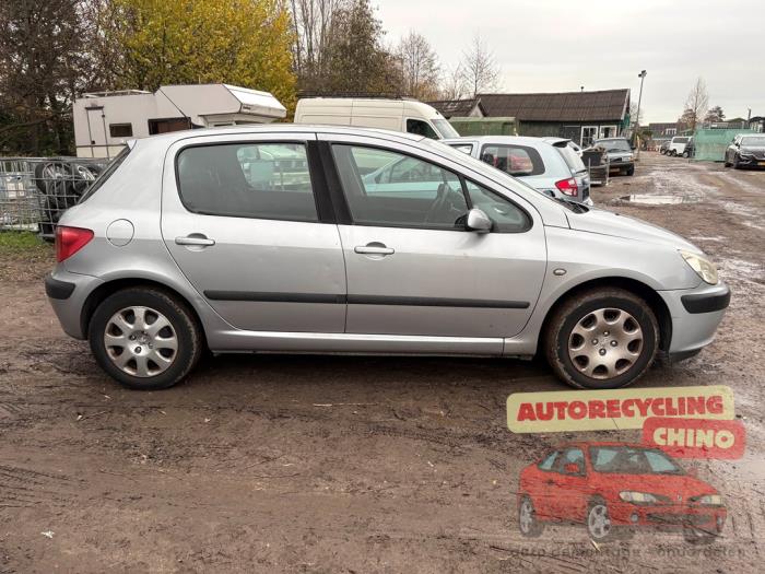 Peugeot 307 1.6 16V Sloopvoertuig (2001, Grijs)