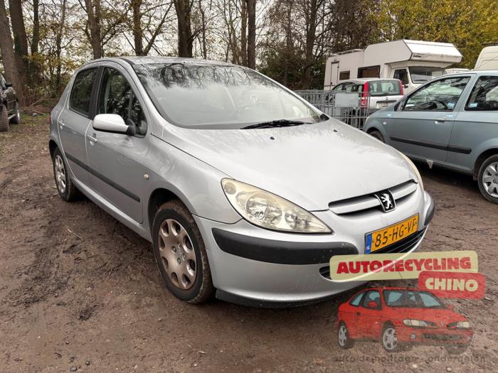 Peugeot 307 1.6 16V Sloopvoertuig (2001, Grijs)