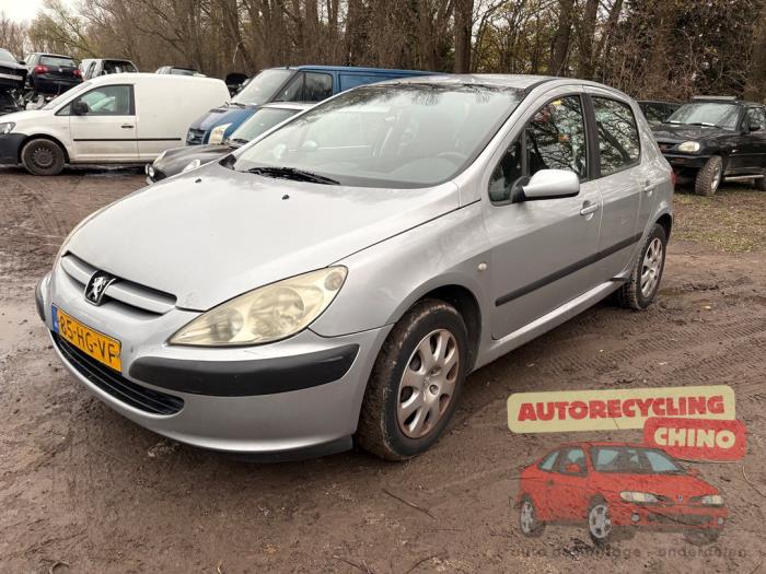 Peugeot 307 1.6 16V Sloopvoertuig (2001, Grijs)