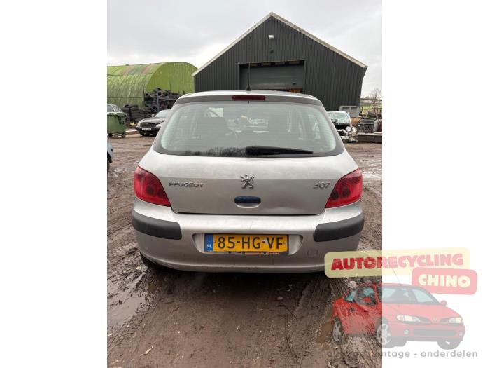 Peugeot 307 1.6 16V Sloopvoertuig (2001, Grijs)