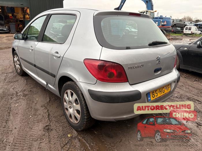Peugeot 307 1.6 16V Sloopvoertuig (2001, Grijs)