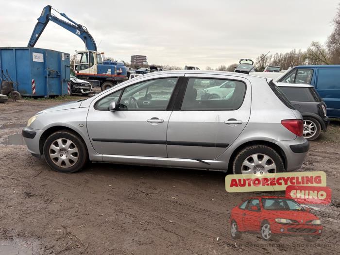 Peugeot 307 1.6 16V Sloopvoertuig (2001, Grijs)
